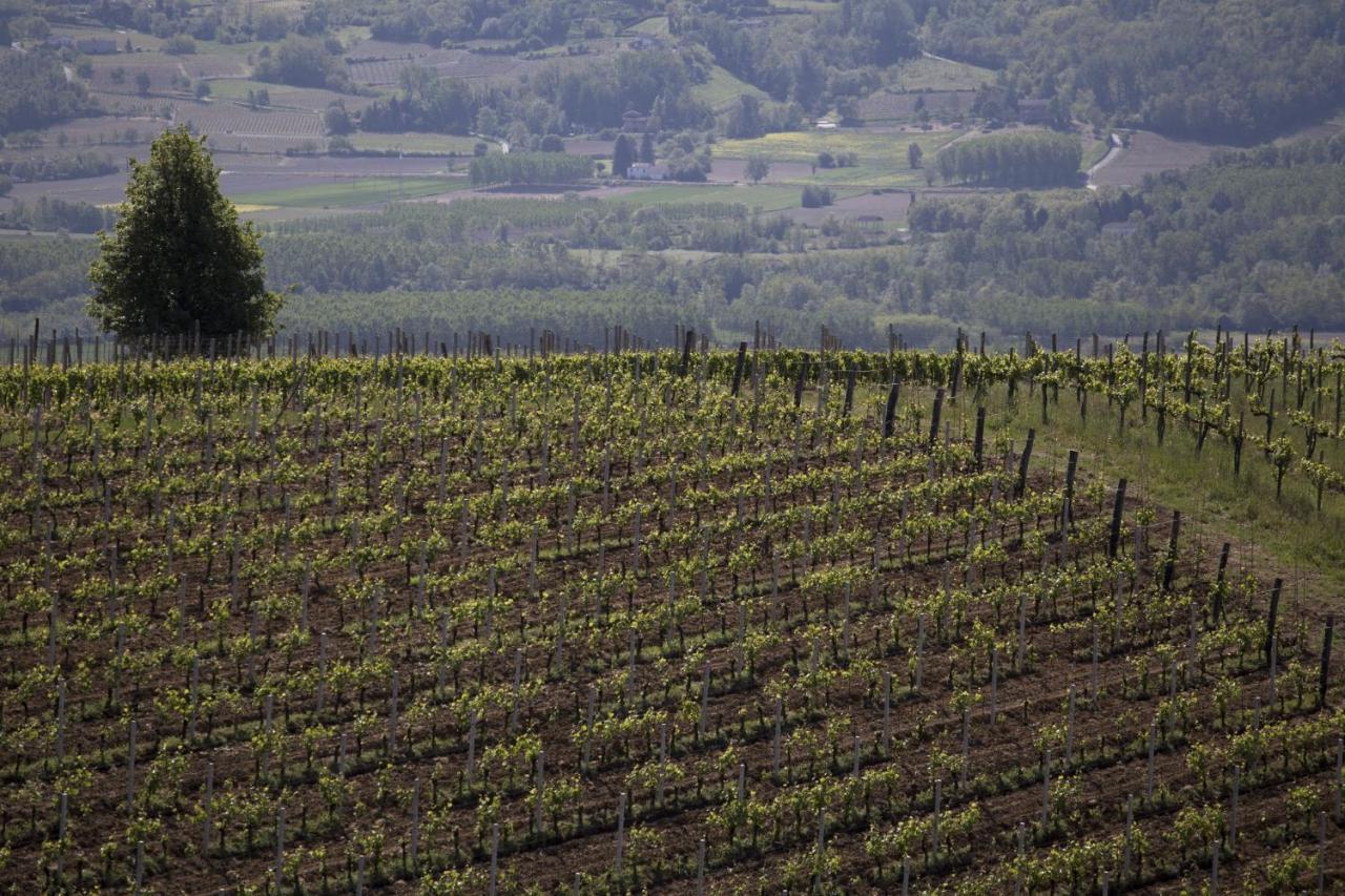 Cascina Marcantonio Acqui Terme Dış mekan fotoğraf
