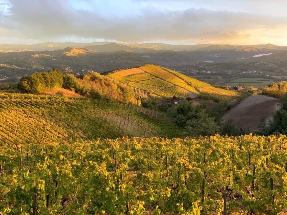 Cascina Marcantonio Acqui Terme Dış mekan fotoğraf