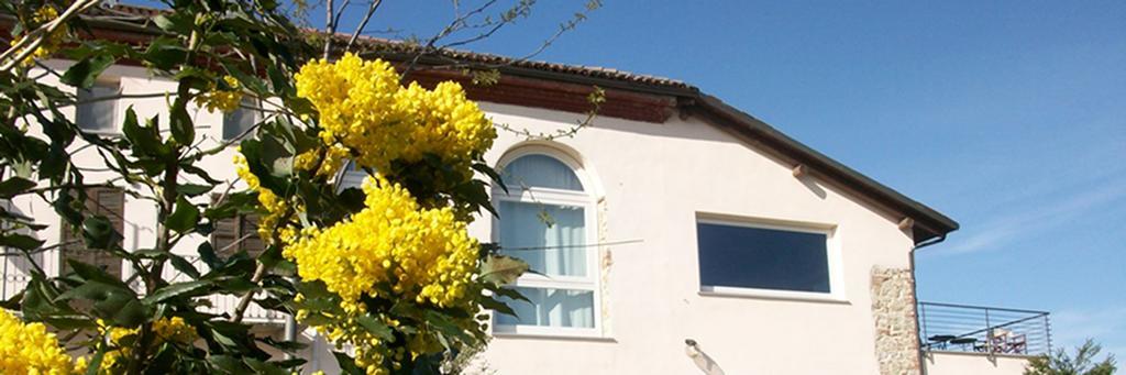 Cascina Marcantonio Acqui Terme Dış mekan fotoğraf